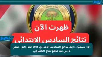 الآن رسميًا.. رابط نتائج السادس الإعدادي 2025 الدور الأول علمي وأدبي عبر موقع نجاح الإلكتروني